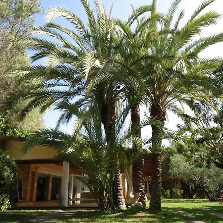 Villaggio Garden Park Marina di Camerota Luaran gambar