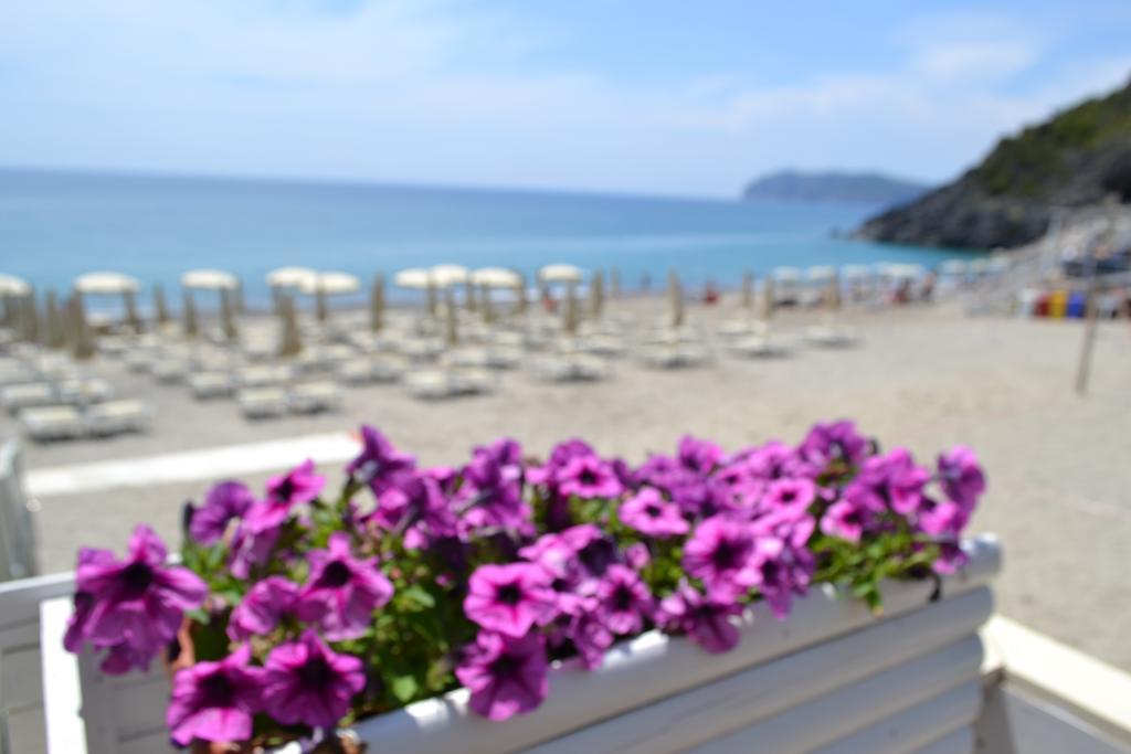 Villaggio Garden Park Marina di Camerota Luaran gambar